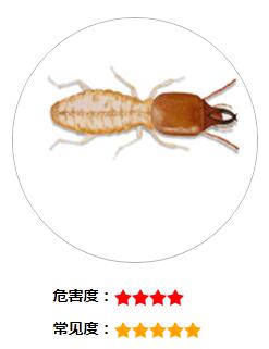QQ截图20180111161356