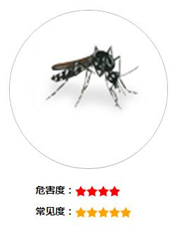 QQ截图20180111162148