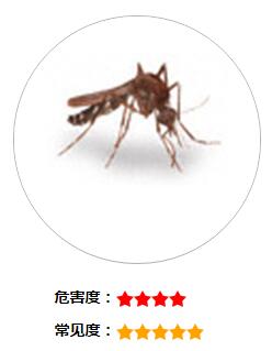 QQ截图20180111162154